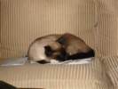 Photo Number 13