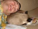 Photo Number 19