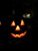 Photo Number 11