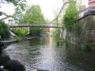 Photo Number 11